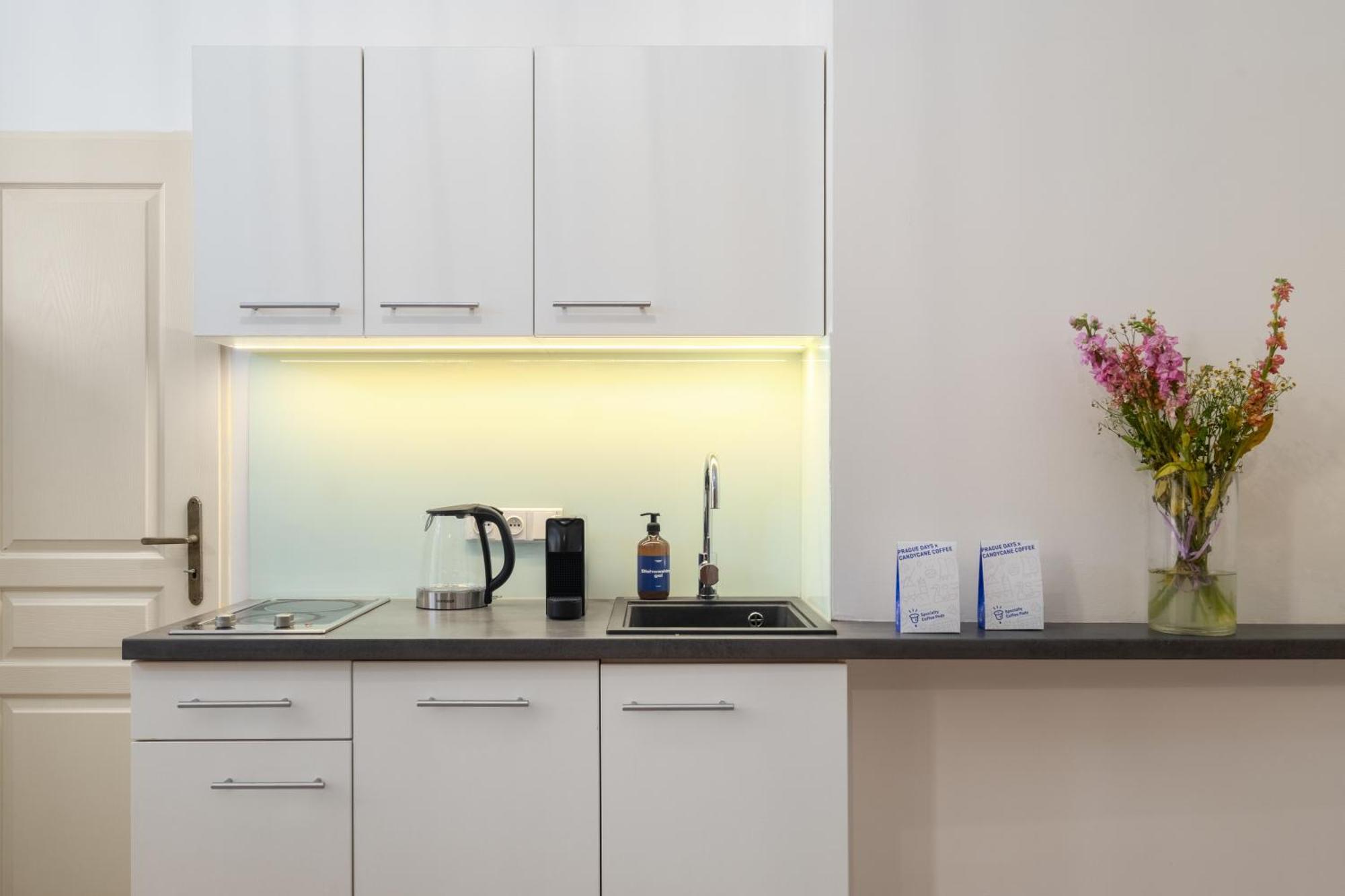Stru House By Prague Days - Luxurious Apartments Next To National Theatre מראה חיצוני תמונה